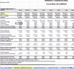 Hoja de excel en el que una de las empresas inspeccionadas reflejaba las ventas en negro.