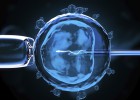 ¿Se lanzarán las ‘biotech’ a investigar con embriones? ¿Se lanzarán las ‘biotech’ a investigar con embriones?
