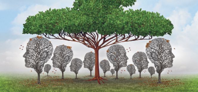 Las empresas, obligadas a colaborar en la lucha contra el cambio climático