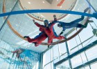 Aprendiendo a volar en una jaula de cristal Aprendiendo a volar en una jaula de cristal