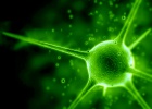 Un virus que puede robarte las contraseñas del banco cuesta apenas 20 euros Un virus que puede robarte las contraseñas del banco cuesta apenas 20 euros