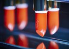 Cien años de rojo pasión en los labios Cien años de rojo pasión en los labios