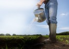 El agua, un motor de empleo cualificado El agua, un motor de empleo cualificado