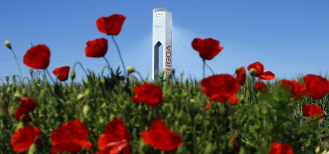 Amapolas en primer plano tapan una de las torres de la planta solar de Abengoa en Sanlúcar la Mayor (Sevilla).
