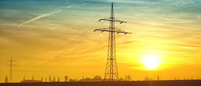 ¿Qué ofrecen las nuevas eléctricas “low cost”? ¿Te interesan?