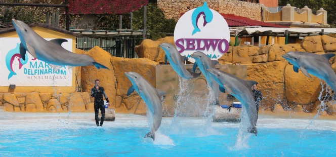 Selwo Aventura, una de las instalaciones de ocio de Parques Reunidos en Estepona (Málaga).