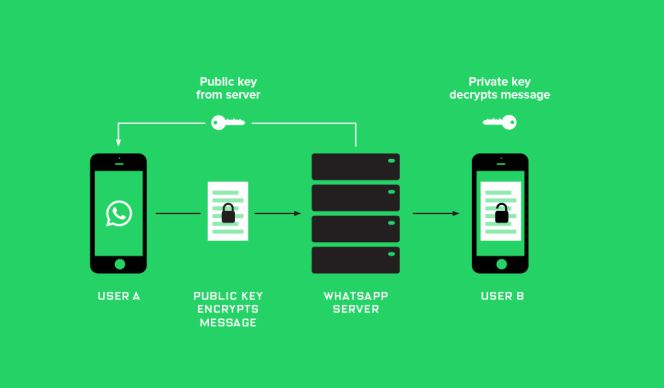 Desde hoy, las conversaciones de WhatsApp ya sí son seguras