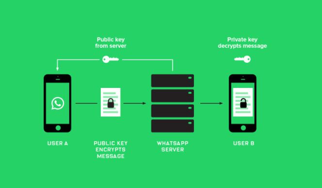 ¿De qué sirve y cómo se utiliza el nuevo código QR de WhatsApp?