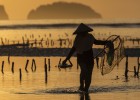 La isla serena a la sombra de los dioses La isla serena a la sombra de los dioses