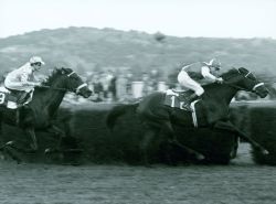 El santuario de las carreras de caballos en Madrid