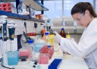 Oryzon avanza con sus fondos propios contra el alzhéimer Oryzon avanza con sus fondos propios contra el alzhéimer