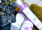 Antioxidantes a partir de la uva que benefician la salud Antioxidantes a partir de la uva que benefician la salud