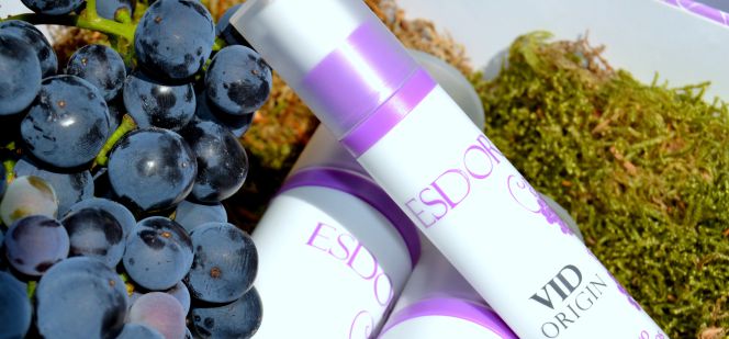 Antioxidantes a partir de la uva que benefician la salud