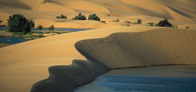 Dunas en el Valle del Draa.