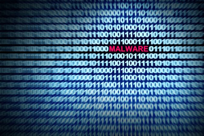 Un 'hacker' vende sus virus a través de Facebook por apenas 50 euros