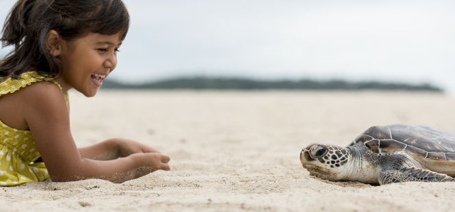 Aprender sobre tortugas en el Índico