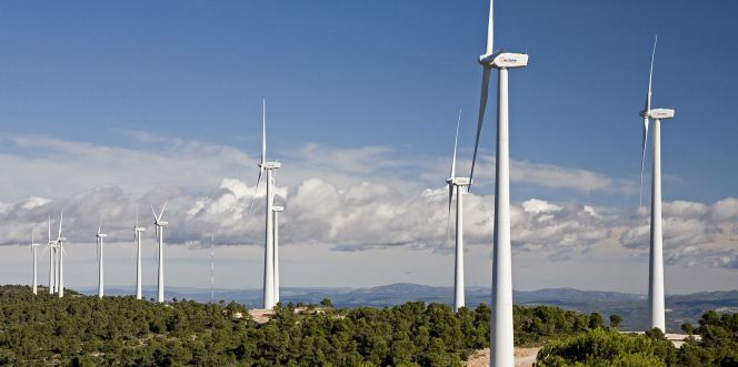 Parque eólico de Acciona.