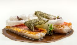 Salmonete con canelón ibérico de verdura.