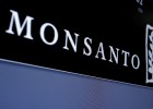 Bayer defiende su oferta tras el rechazo de Monsanto Bayer defiende su oferta tras el rechazo de Monsanto