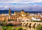 Andaluces de alto rendimiento Andaluces de alto rendimiento