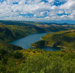 Fermoselle