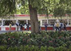 El libro sobrevive a las amenazas El libro sobrevive a las amenazas