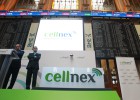 El comité de sabios excluye a Sacyr y a OHL del Ibex El comité de sabios excluye a Sacyr y a OHL del Ibex