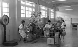 Trabajadoras en la fábrica donostiarra de Suchard.