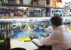 Ciencia: materia a examen Ciencia: materia a examen