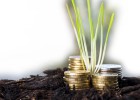 Los beneficios también se cosechan Los beneficios también se cosechan