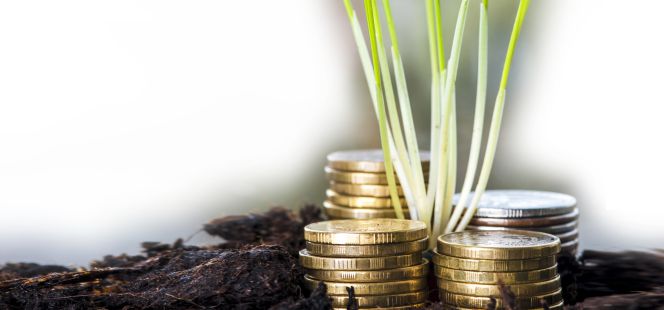 Los beneficios también se cosechan