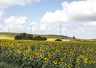 La I+D eólica, clave para mantener el viento a favor La I+D eólica, clave para mantener el viento a favor