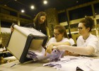 Día D: los británicos votan en referéndum sobre el 'brexit' Día D: los británicos votan en referéndum sobre el 'brexit'