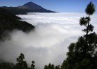 España, un año más en la cresta de la ola España, un año más en la cresta de la ola