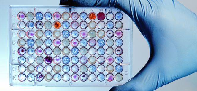 Investigando el modelo productivo del futuro
