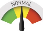 La búsqueda de la rentabilidad La búsqueda de la rentabilidad