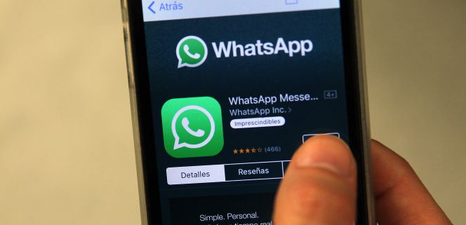 WhatsApp se abre a la música, los GIF y las videollamadas