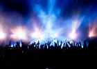 Cómo encontrar las mejores listas de música y exportarlas a Spotify Cómo encontrar las mejores listas de música y exportarlas a Spotify