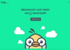 Peep te permitirá emitir tu vida en directo en WhatsApp Peep te permitirá emitir tu vida en directo en WhatsApp