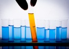 Los nombres propios de la biotecnología Los nombres propios de la biotecnología