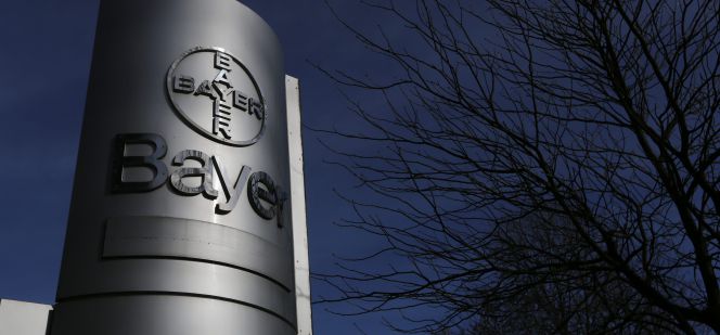 Bayer