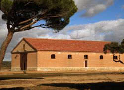 Bodega Barcolobo