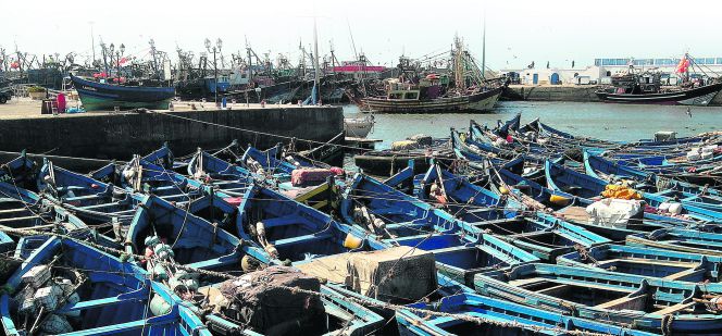 España pide a Marruecos respeto por las especies