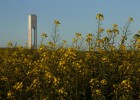 Así son los ‘hedge funds’ que tomarán el control de Abengoa Así son los ‘hedge funds’ que tomarán el control de Abengoa