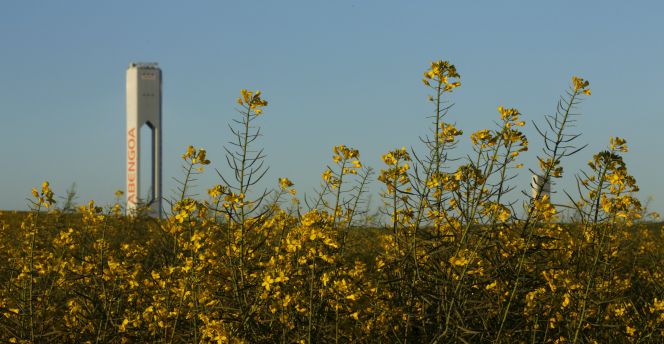 Al fondo, una de las torres de una planta solar de Abengoa.