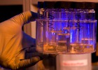 Fracasa el fármaco que iba a ser superventas en oncología Fracasa el fármaco que iba a ser superventas en oncología