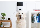 Vigila y cuida a tu mascota desde el smartphone con este gadget Vigila y cuida a tu mascota desde el smartphone con este gadget