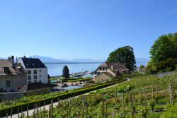 Nyon