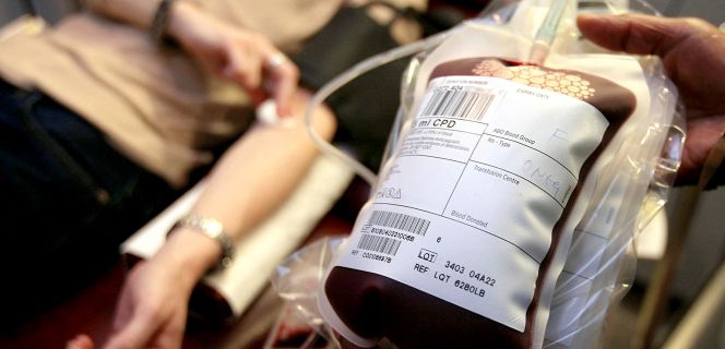Sangre artificial frentre a la escasez de donaciones