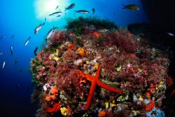 Un paraíso para vivir en pareja